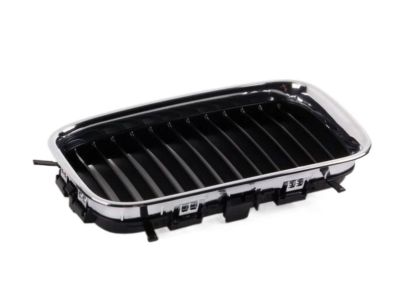 BMW 51-13-8-122-238 Grille Right