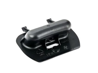 BMW 51-49-8-228-818 Recessed Handle