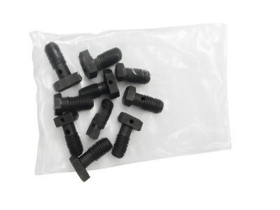 BMW 07-11-9-905-176 Hollow Bolt