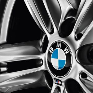 BMW 36-13-6-850-834 Hub Cap