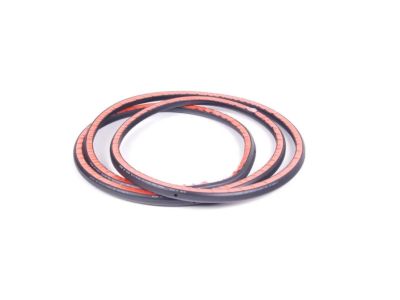 BMW 51-22-9-069-324 Rear Door Seal