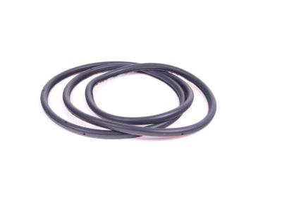 BMW 51-22-9-069-324 Rear Door Seal