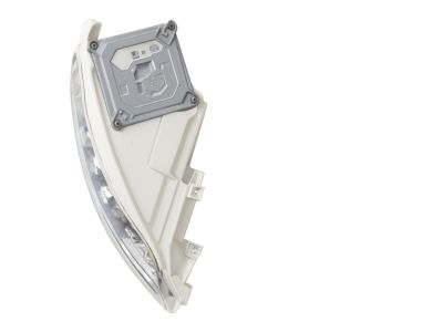 BMW 63-13-7-176-871 Left Direction Indicator Light, White