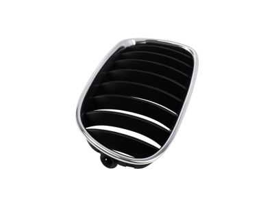 BMW 51-13-7-181-547 Grille Left