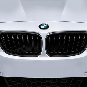 BMW 51-71-2-336-815 Passenger Side Kidney Grille