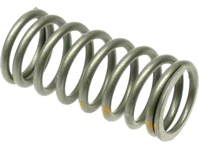BMW 11-34-1-706-584 Valve Spring