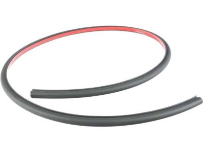BMW 51-76-7-310-234 Joint Seal, Door, Front