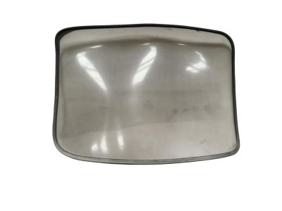 BMW 54-21-8-407-257 Heated Rear Window, Green