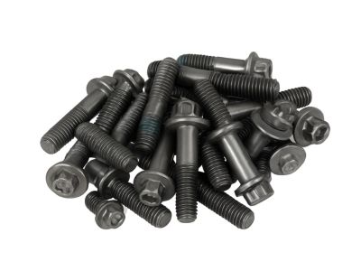 BMW 07-12-9-905-558 Internal Torx Screw With Washer