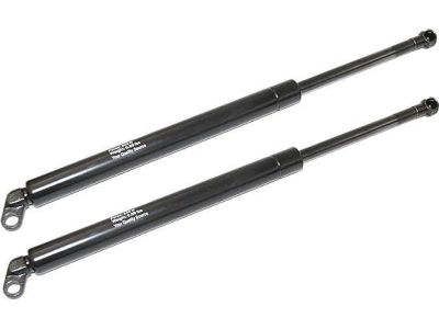 BMW 51-24-8-222-913 Gas Pressurized Spring