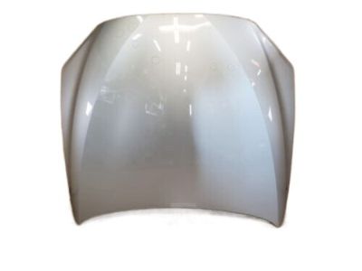 BMW 41-61-7-228-974 Hood