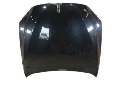 BMW 41-61-7-228-974 Hood