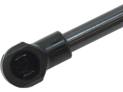 BMW 51-23-7-129-190 Gas Pressurized Spring
