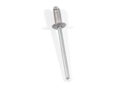 BMW 54-31-1-972-213 Blind Rivet