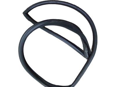 BMW 51-71-1-977-727 Front Left Door Seal