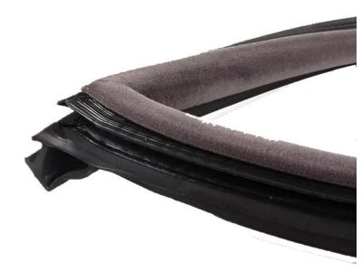 BMW 51-71-1-977-727 Front Left Door Seal