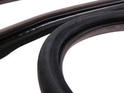 BMW 51-71-1-977-727 Front Left Door Seal