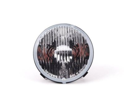 BMW 63-12-1-385-817 High Beam Insert