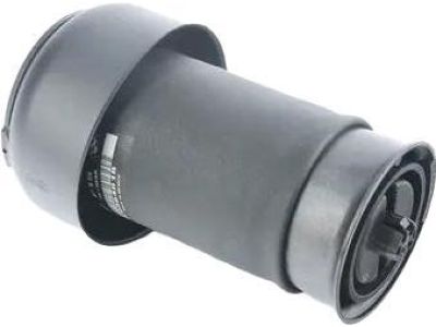 BMW 37-10-7-850-225 Rear Pneumatic Spring