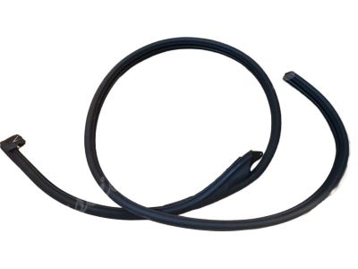 BMW 51-71-8-176-276 Front Right Door Seal