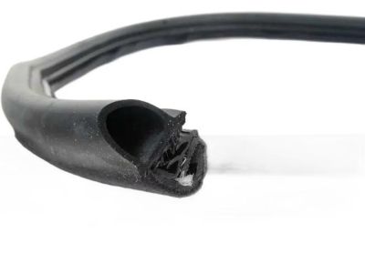 BMW 51-71-8-176-276 Front Right Door Seal