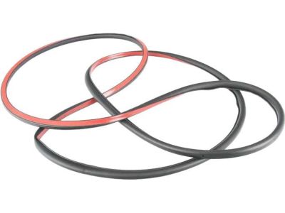 BMW 51-76-7-317-852 Door Weatherstrip, Front