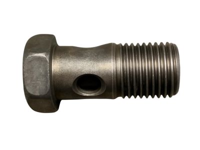 BMW 11-53-8-607-960 Hollow Bolt