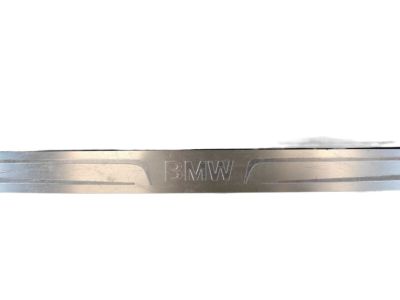 BMW 51-47-7-313-144 Insert, Entrance, Front