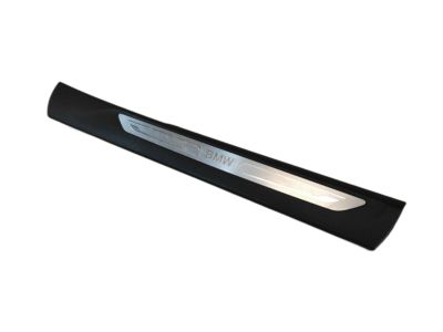 BMW 51-47-7-313-144 Insert, Entrance, Front