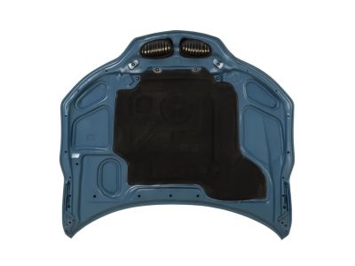 BMW 41-61-0-306-991 Hood