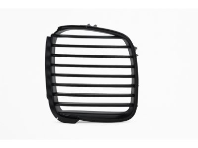 BMW 51-13-8-159-316 Grille Right