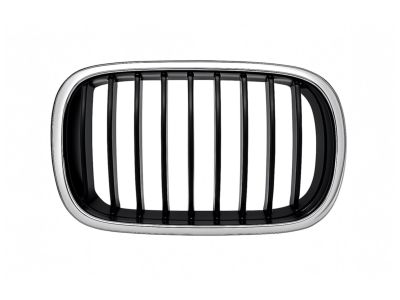 BMW 51-13-8-159-316 Grille Right