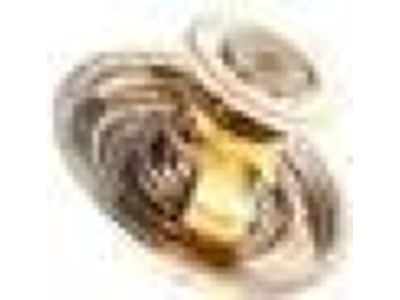 BMW 11-53-1-729-720 Engine Coolant Thermostat