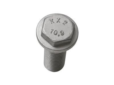 BMW 07-14-6-885-922 Multi-Purpose Bolt Asa