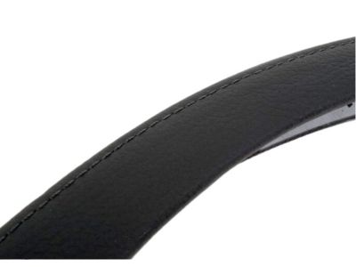 BMW 51-41-6-970-166 Trim, Door Pull, Right