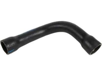 BMW 16-11-1-182-831 Hose