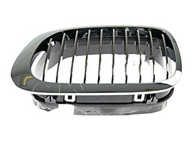 BMW 51-13-8-208-685 Grille Left