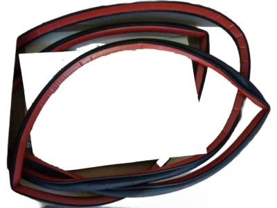 BMW 51-76-7-060-229 Door Weatherstrip, Front