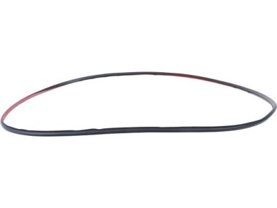 BMW 51-76-7-060-229 Door Weatherstrip, Front
