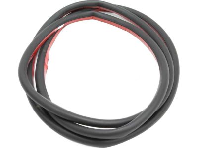BMW 51-76-7-060-229 Door Weatherstrip, Front