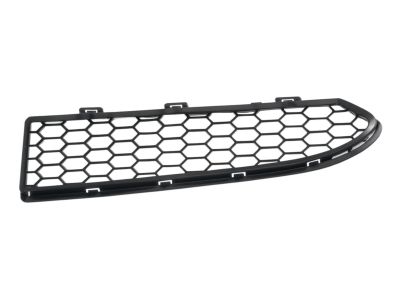 BMW 51-11-8-056-259 Grille, Middle Bottom, Open