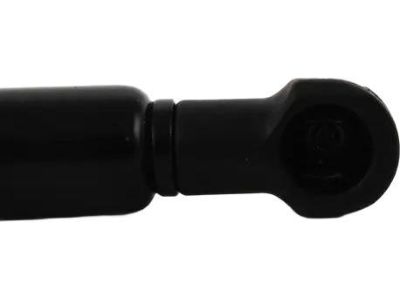 BMW 54-31-8-135-313 Gas Pressurized Spring