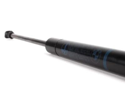BMW 51-23-8-174-866 Gas Pressurized Spring