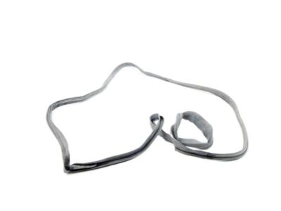 BMW 51-21-1-874-877 Door Sealing Front Left