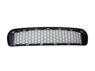 BMW 51-11-7-900-764 Grid, Centre