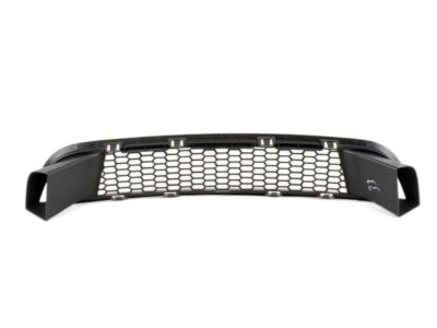 BMW 51-11-8-050-345 Grille, Air Inlet, Middle