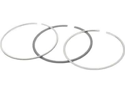 BMW 11-25-7-843-751 Piston Rings Repair Kit