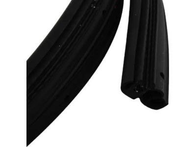 BMW 51-72-8-196-291 Front Door Seal