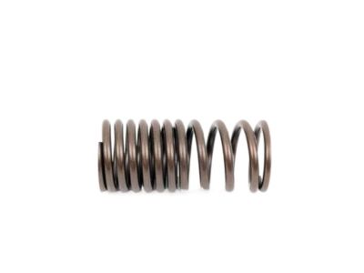 BMW 35-31-1-165-566 Compression Spring