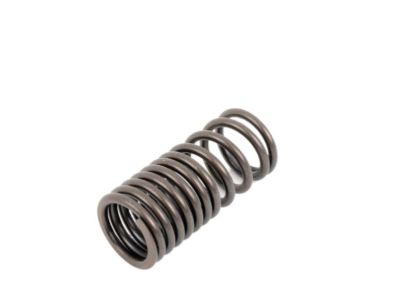 BMW 35-31-1-165-566 Compression Spring